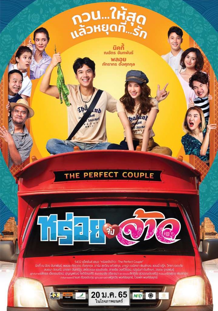 The Perfect Couple movie watch streaming online